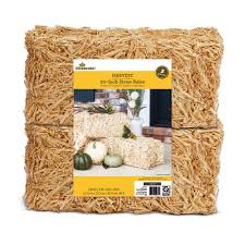Add leaves to your display by placing them on top of the hay and straw in a fashion. Way To Celebrate Harvest Decorative 20 Straw Bale 2 Pack Walmart Com Walmart Com