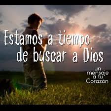 busca d