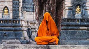 We did not find results for: Yoga And Meditation Ashrams In India