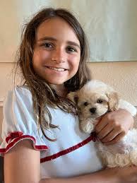 Those with adult cockapoos from Paddock farm how much do they weigh?  Curious about what sort of size Max will be. He is 14 weeks today and 6kg.