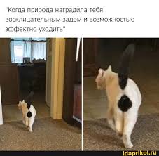 моя моя или не моя моя моя или не моя Fotografiya Ne Moya Slova Narodnye Fotografiya Ne Moya Slova Narodnye Takogo Vy Eshe Ne Videli Ajdaprikol V 2020 G Veselye Memy Smeshnye Memy Smeshnye Shutki