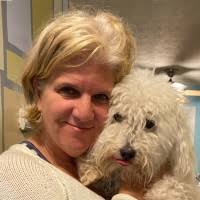 900+ "Mayville" profiles