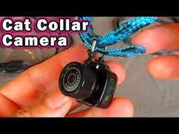10w 5v 2a 8 multi tip ca power adapter wall charger for dog collar camera. Cat Collar Camera Y2000 Mini Cam Dog Pet Y3000 Unboxing Review Youtube