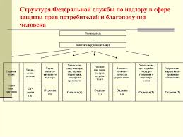 Роспотребнадзор после последних преобразований 2012 года (указ президента рф от 21.05.2012 № 636 «о структуре федеральных органов исполнительной власти». Upravlenie Federalnoj Sluzhby Po Nadzoru V Sfere Zashity Prav Potrebitelej Blagopoluchiya Cheloveka Po Krasnoyarskomu Krayu Online Presentation