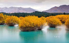 47 Bing Daily Wallpaper Changer On Wallpapersafari