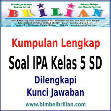 We did not find results for: Soal Ipa Kelas 5 Sd Semester 1 Dan 2 Dilengkapi Kunci Jawaban Bimbel Brilian