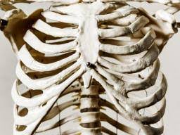 Each are symmetrically paired on a right and left side. 6 Possible Causes Of Rib Cage Pain