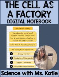 They both have a nucleus where dna is stored and replicated and a cell wall which provides p. Cell Factory Worksheets Teaching Resources Teachers Pay Teachers