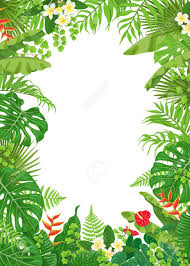 Here you can explore hq picture frame transparent illustrations, icons and clipart with filter setting like size, type, color etc. Colorful Leaves And Flowers Of Tropical Plants Frame Vector Royalty Free Cliparts Vectors And Stock Illustration Image 90262414