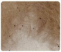 I've consulted a vet who said not to use any flea products like frontline or advantage or anything like that until the kittens are 8 weeks old. Help For Flea Infested Cats And Kittens What You Need To Know Now