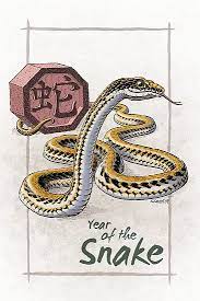 Year Of The Snake Astrologi