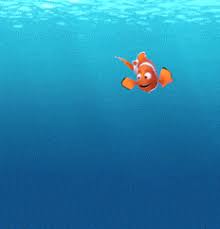 Find the newest dory gif meme. Finding Dory Gif Movie Trailers Fan Art 40119543 Fanpop Page 2