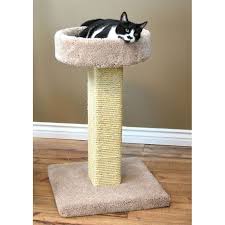 Solid Wood Cat Scratcher With Bed In 2020 Cat Scratcher Diy Cat Scratcher Unique Cat Tower