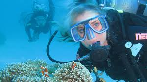 Great Barrier Reef Scuba Diving Great Adventures Cruises Great Adventures