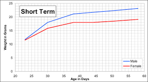 Hilltop Lab Animals Inc Balb Chla Growth Chart