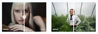 Download Jared Polin