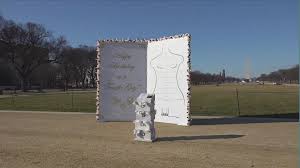 Massive birthday card replica from Trump to Epstein appears on the National Mall