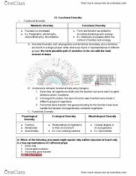 all educational materials for ines rauschenbach oneclass