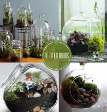 Terrarium Diy Materials Needed Jar Shovel Assorted Plants Potting Soil Small Stones Activated Charcoal With Images Terrarium Diy Terrarium Garden Terrarium