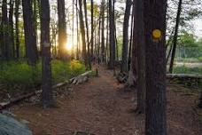 75th Anniversary Walk: A Twilight Walk Guided by Poetry