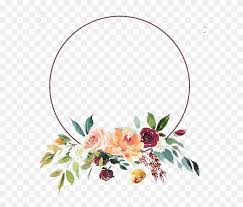 Pin On Flowers