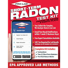 Most of these sensors are very. Pro Lab Radon Gas Test Kit Ra100 The Home Depot
