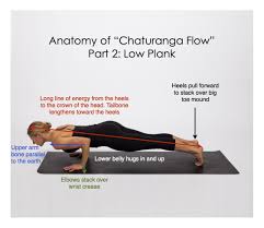 Anatomy Of Chaturanga Flow Part 2 Chaturanga Flow Is A Vinyasa Series But Chaturanga In English Transcripes To The Croc Yoga Techniques Yoga Six Yoga Asanas