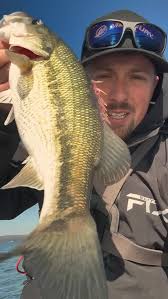 What is your favorite kind of Pline to use? Lets us know and share this  video to be entered to win a free spool! #nordbye #fishingwithnordbye  #nordbyefishing #fishing #bassfishing #bigbass #lake #lakelife #