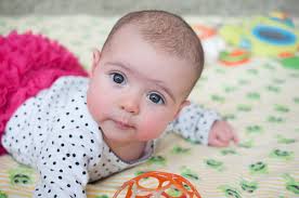 Faye Ross (Cholodny)