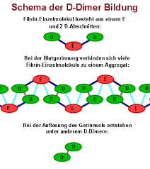D Dimer Ubersicht