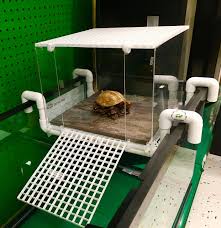 Diy turtle topper just for me turtl. Large Turtle Tower Above Tank Acrylic Model Turtle Basking Platform Turtle Dock Basking Dock Turtle Tank Accessory Buy Online In Bahamas At Bahamas Desertcart Com Productid 55243538