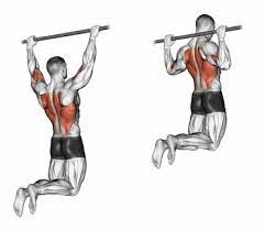 Alle übungen werden ausführlich und mit der richtigen ausführung bzw. Latissimus Trainieren Die Besten Ubungen Bilder Videos