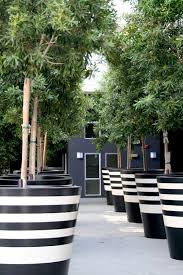 Black And White Outdoor Plant Pots Black And White Stripe Pattern Classic Design Interior Decor Garden Inspiration Garden Troughs Garden Design