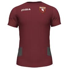 Torino T Shirt Burgundy S S
