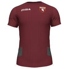 torino t shirt burgundy s s