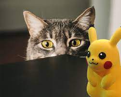 100 Pokemon Inspired Cat Names Ideas For Unique Adorable Cats Excited Cats