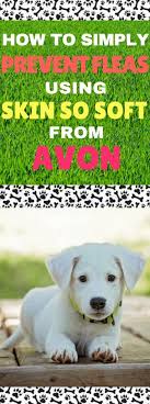 How To Easily Repel Fleas With Avon Skin So Soft - Moosie Blue | Avon Skin  So Soft, Skin So Soft, Fleas