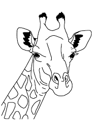 1000 x 1419 jpeg 191 кб. 34 Giraffe Coloring Pages Coloring Pages