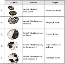 Contoh Soal Struktur Dan Fungsi Jaringan Manusia Idschool