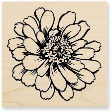 Pin On Zinnias