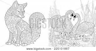 Dog coloring pages for adults. Coloring Page Adult Vector Photo Free Trial Bigstock