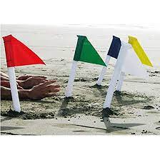 Amazon.co.jp: ビーチフラッグの旗 5色セット／海 ビーチ 競技 25497 : おもちゃ