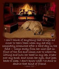 For The Love Of Dogs A Daily Thought In 2020 Best Dog Quotes Old Dogs Dog Quotes
