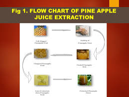 Production Optimization And Characterization Of Wine From