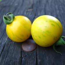 Tomate Topaz Ab Herbs Vegetables Fruit