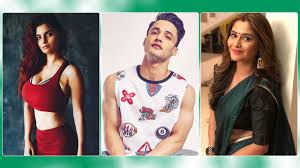 Bigg Boss 13 Final Contestant List These Celebs To Be Seen In Salman Khan S Reality Show Full and final list of contestants.