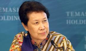 Ho ching has been ceo of singaporean sovereign wealth fund temasek since 2004 and has helped its portfolio grow to over $313 billion. Ho Ching Defends Prime Minister Lee Hsien Loong S S 2 2 Million Salary Coconuts Singapore