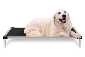 Maybe you would like to learn more about one of these? The 10 Best Indestructible Chew Proof Dog Beds In 2021