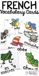 French Bugs Insects Vocabulary Cards Use These Cards In Tons Of Different Ways To Help Yo Vocabulary Cards Word Wall Cards Literacy Activities Kindergarten