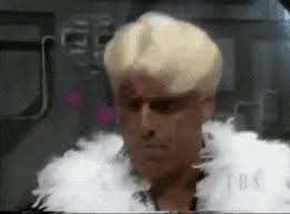 Maybe you would like to learn more about one of these? Ric Flair Gif Walk